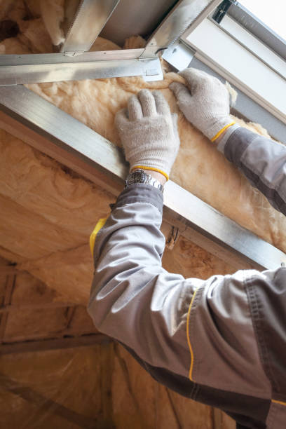 Best Spray Foam Insulation in Cold Springs, NV