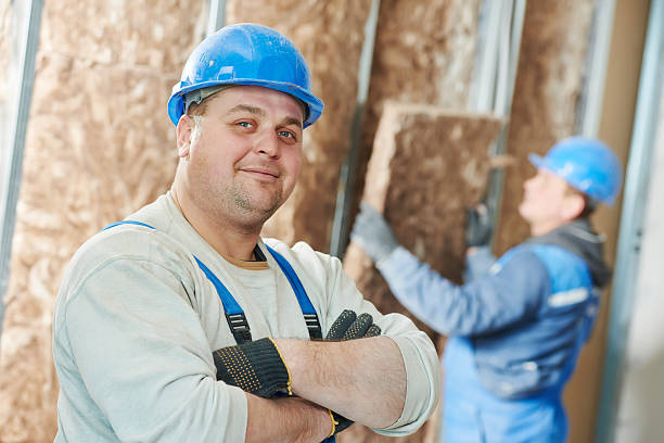 Types of Insulation We Offer in Cold Springs, NV